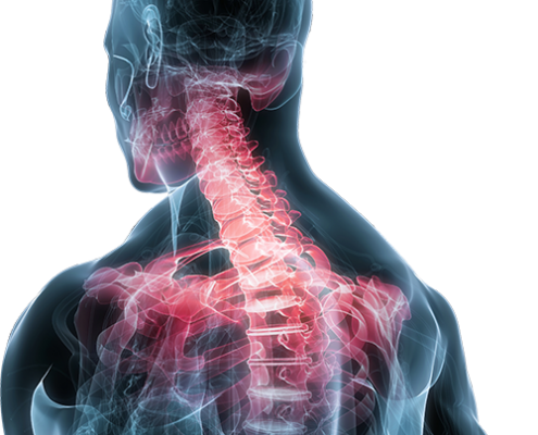 chiropractic clinic Sioux Falls, stretches for your back, when to go to a chiropractor, chiropractor Sioux Falls