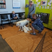 Highest Health Chiropractic, Sioux Falls Back to School Bash 2019 puppies
